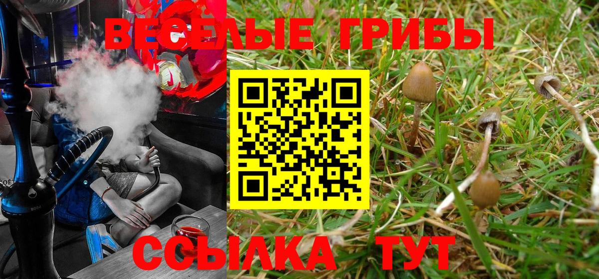 Радужный  Псилоцибиновые грибы Magic Shrooms  Вход с VPN  Псилоцибиновые грибы Psilocybe 